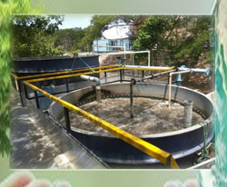 Domestic Sewage Treatment Plant